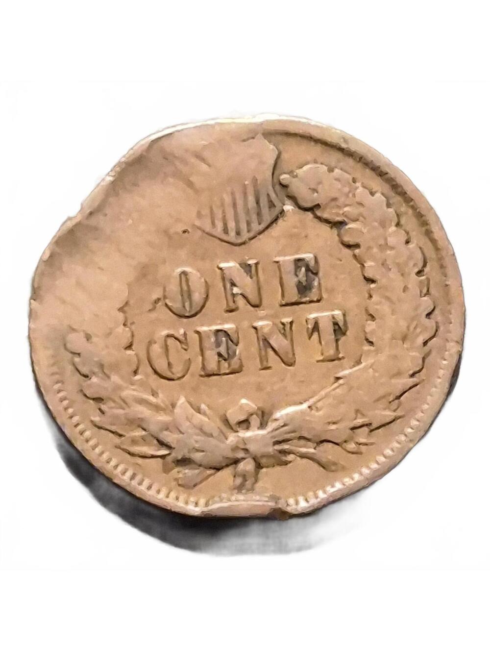 1899 Indian Head Penny Rare Major Error #4